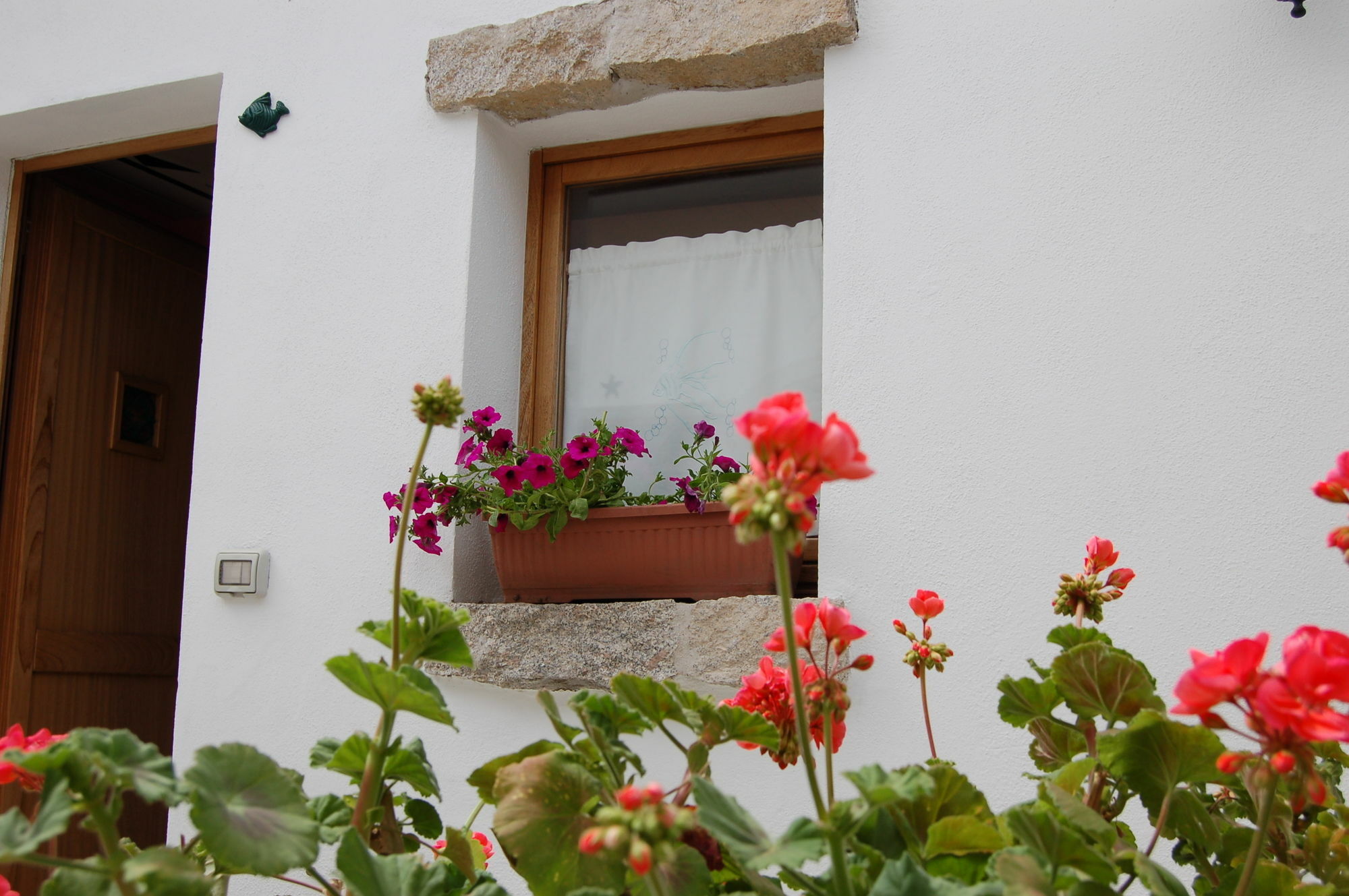 Olbia Domus Inn Luaran gambar